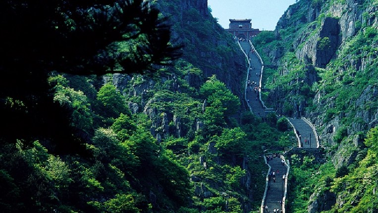 泰山