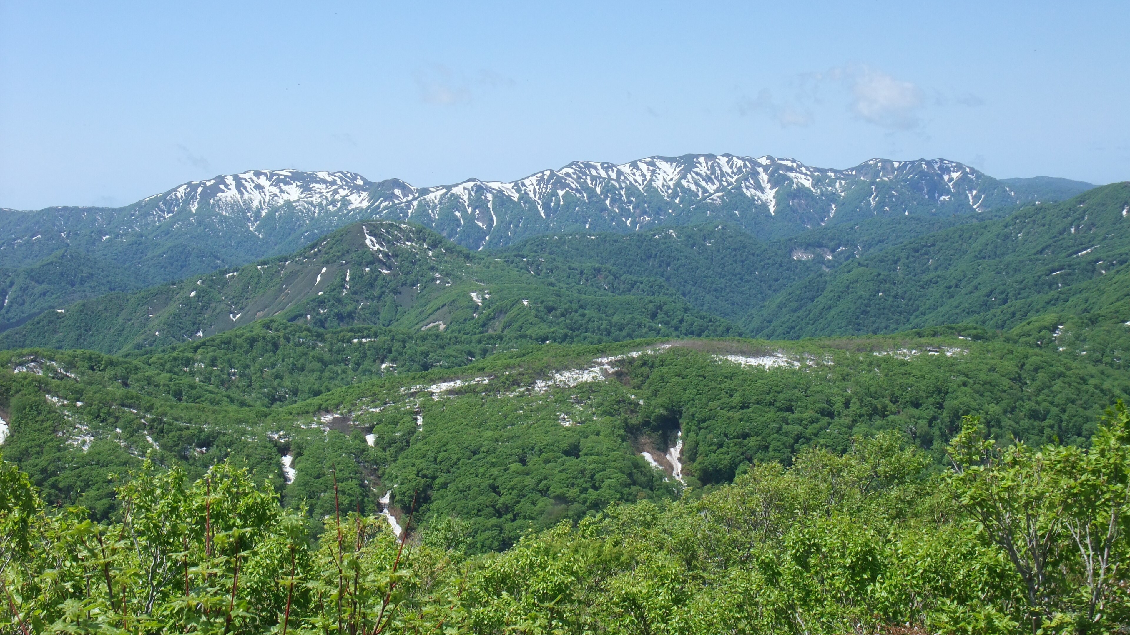 白神山地