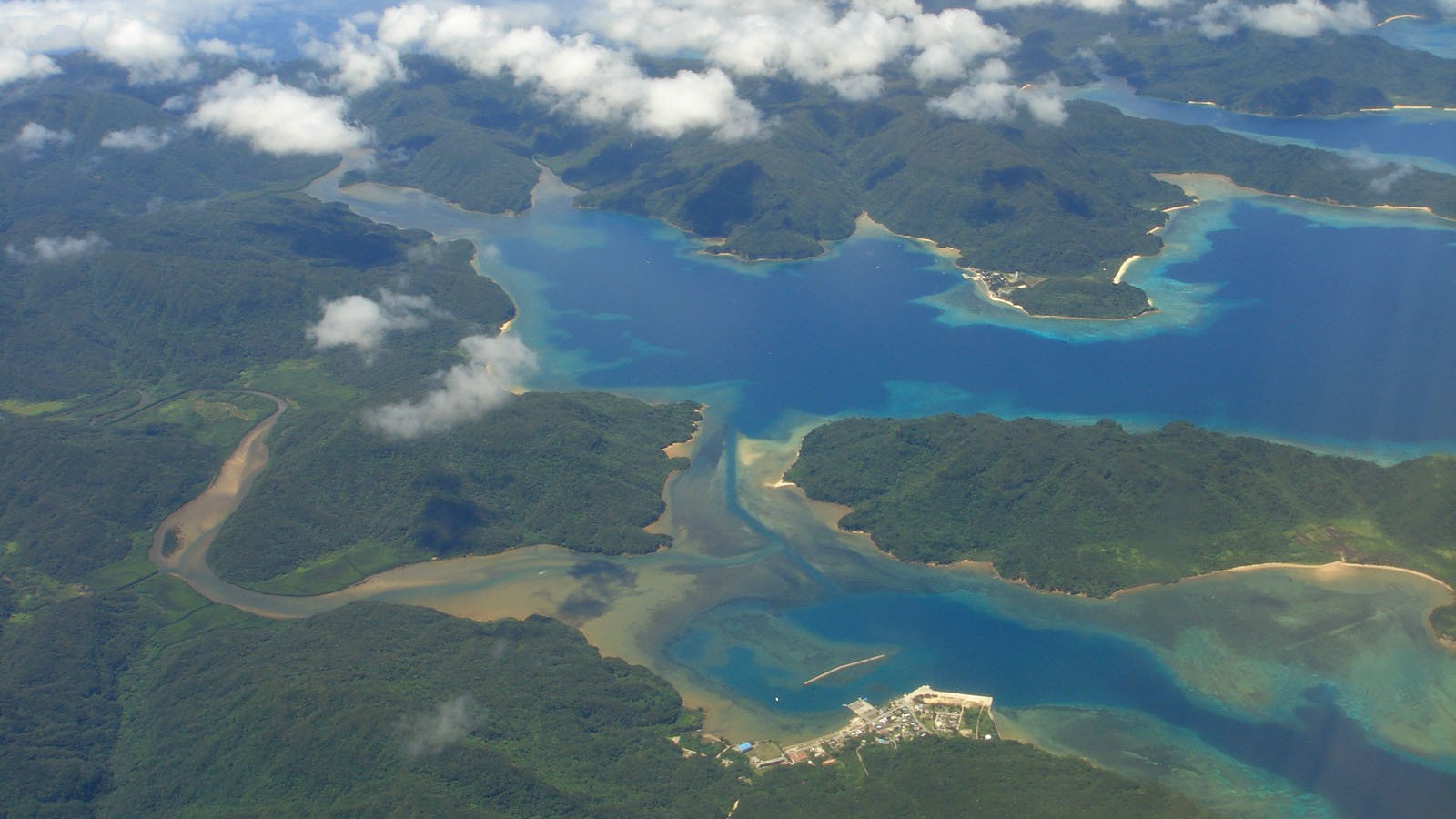 奄美大島、徳之島、沖縄島北部及び西表島