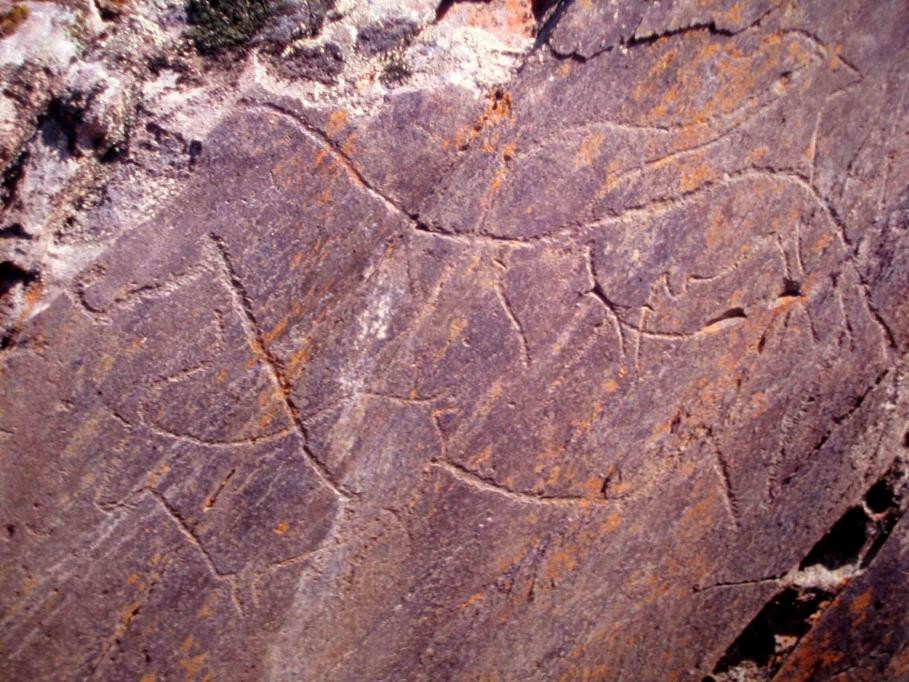 コア渓谷とシエガ・ヴェルデの先史時代のロックアート遺跡群