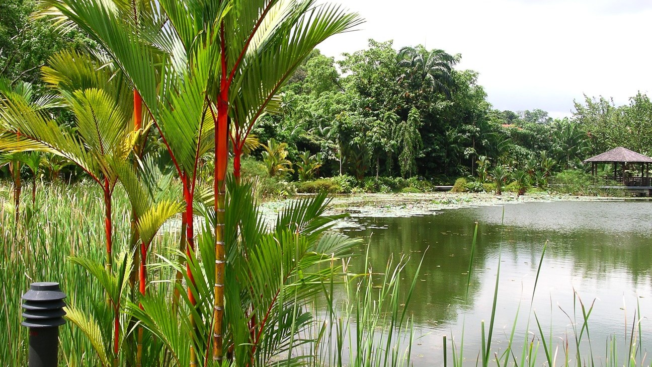 シンガポール植物園