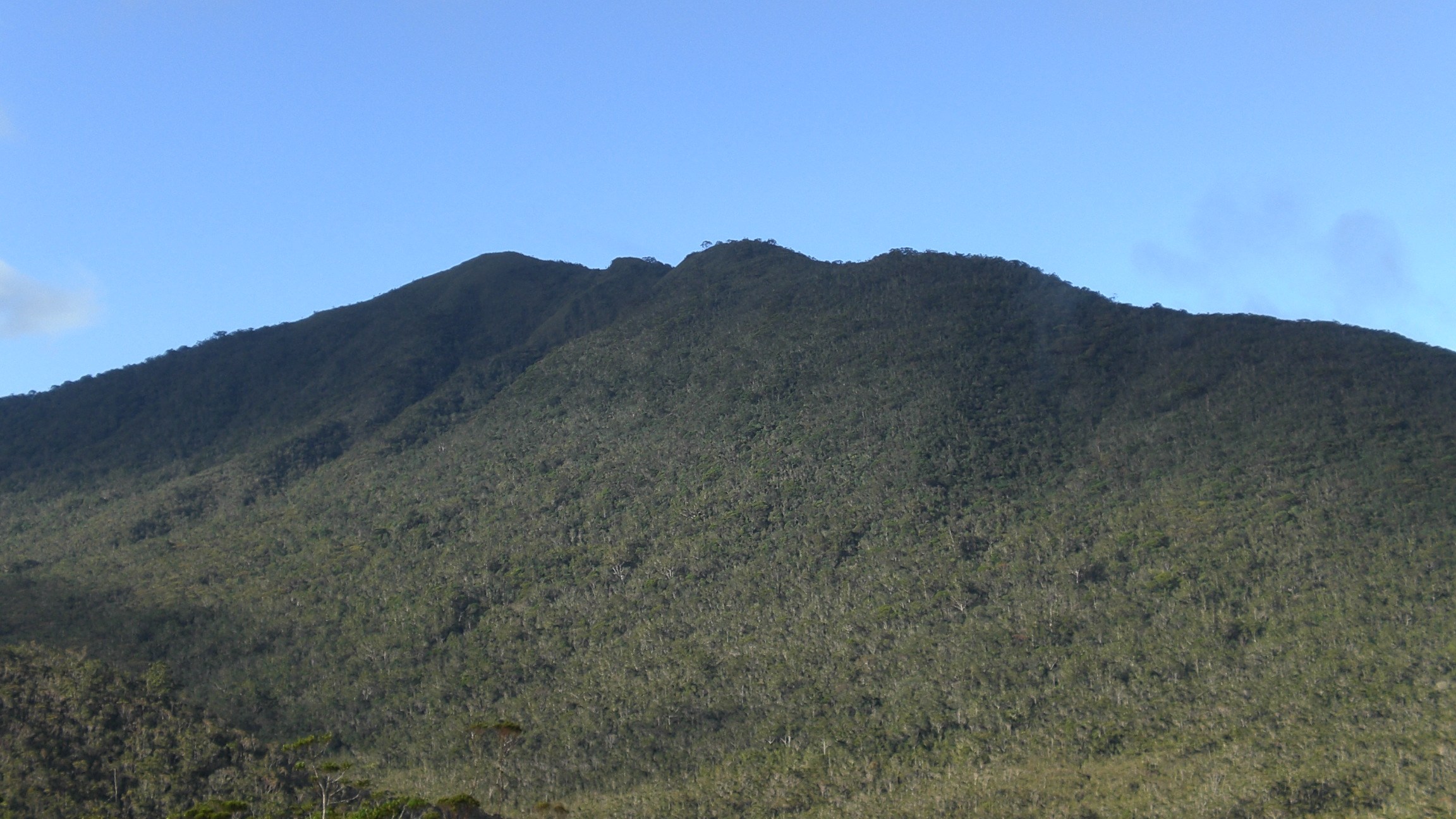 ハミギタン山地野生生物保護区