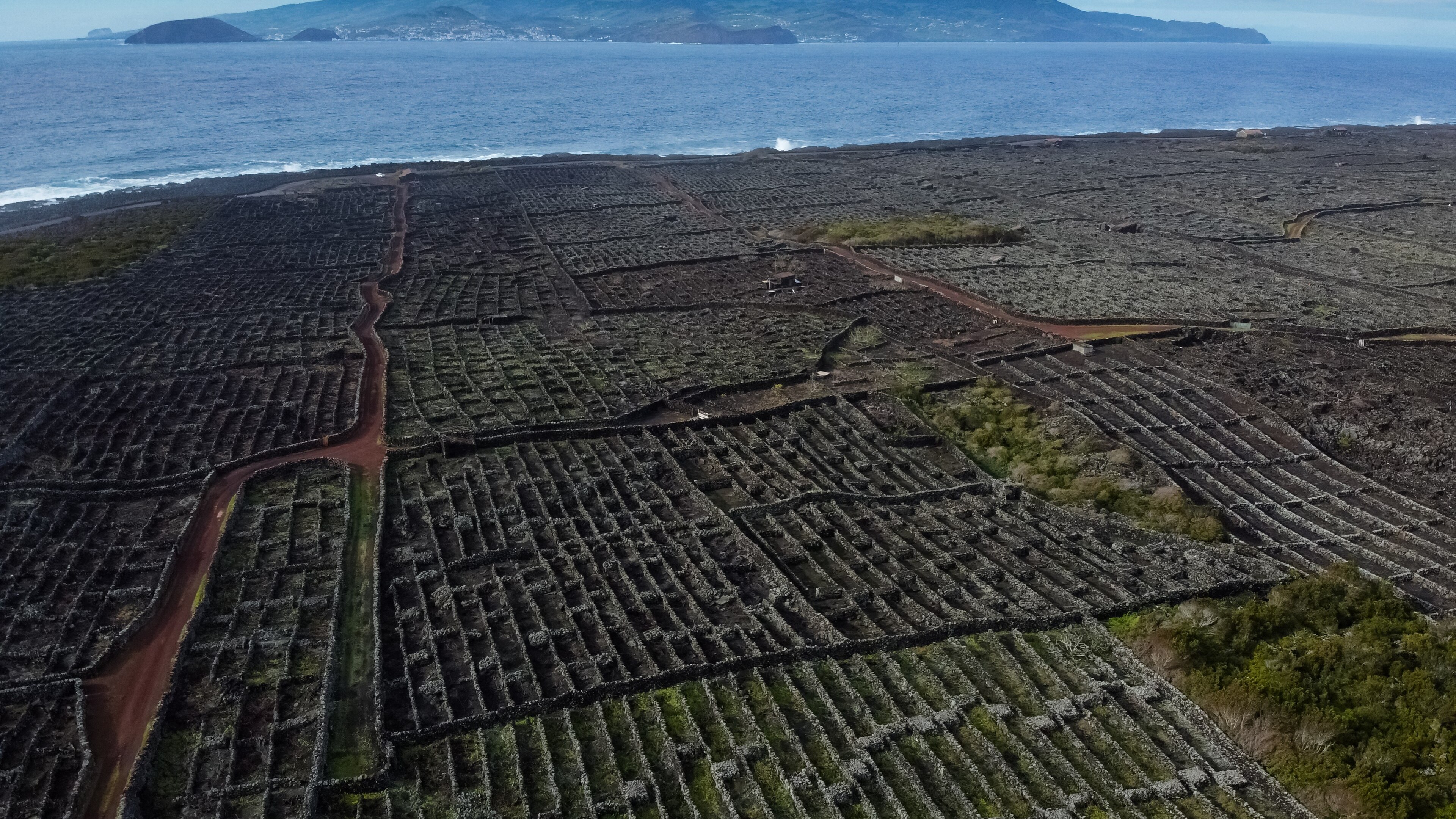 ピーコ島のブドウ園文化の景観